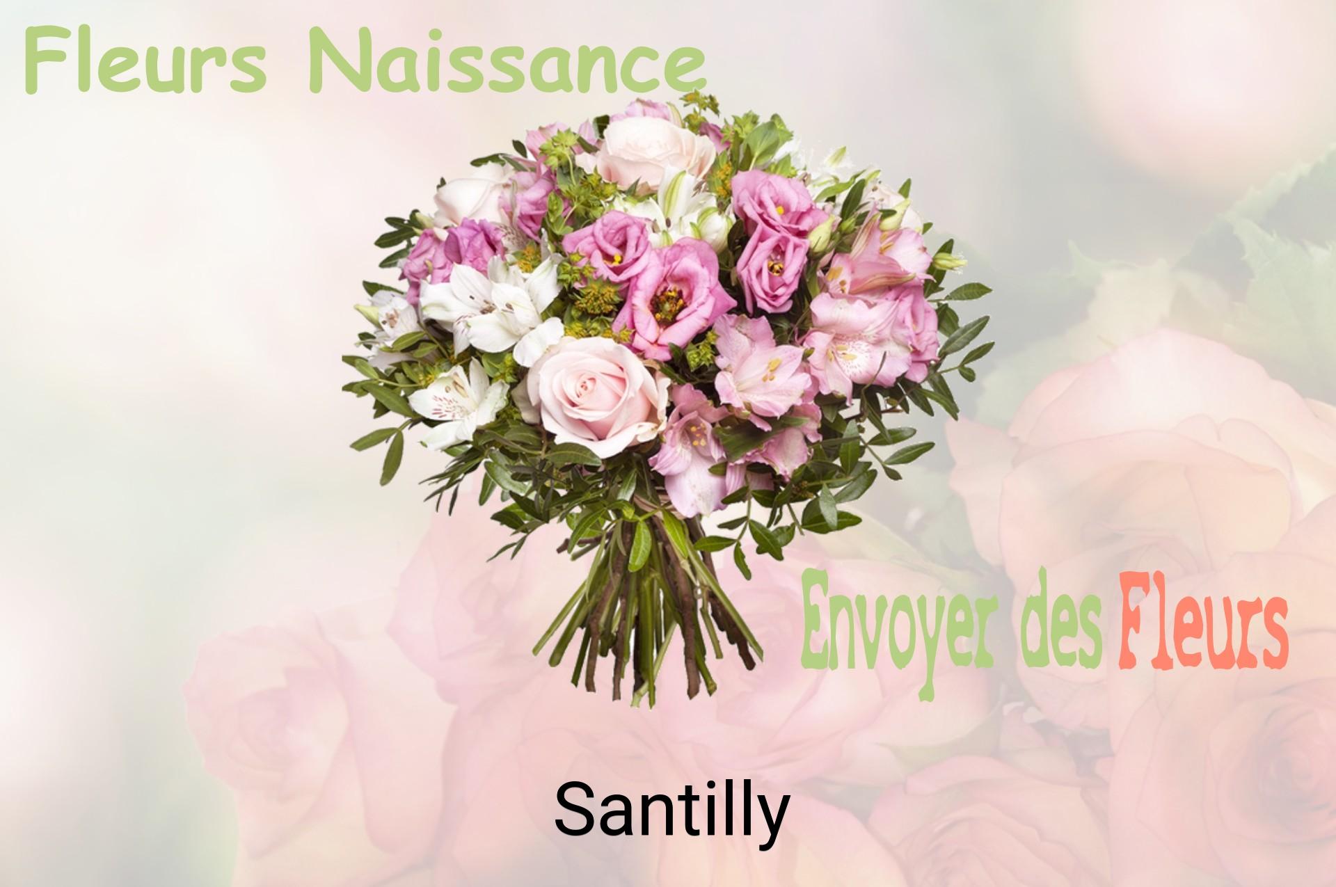 Bouquet de fleurs de naissance livré à Santilly
