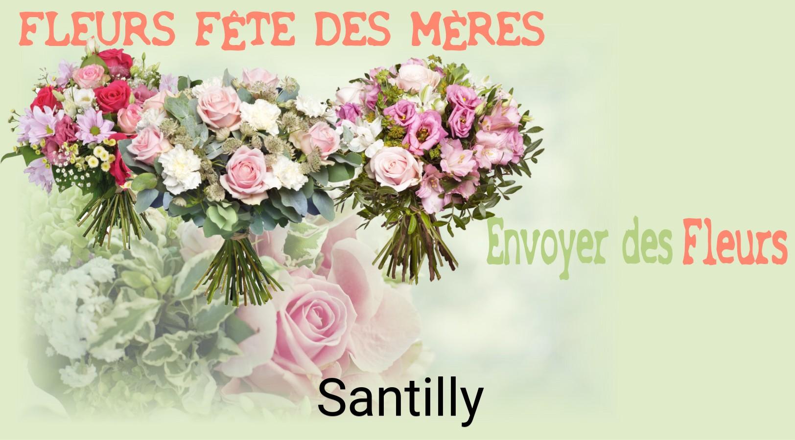 Bouquet de Fête des Mères livré à Santilly